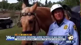 Sheriff's Volunteer Mounted Patrol - San Diego County Sheriff's Department