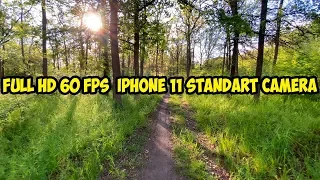 Пример записи видео Iphone 11 FULL HD 60 FPS Основная камера