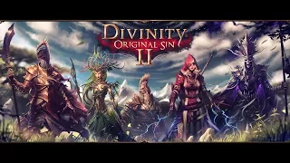 Divinity Original Sin 2, первый взгляд!