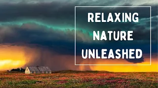 9 Hours of Rain Sound Relaxation | Ultimate Stress Relief, Meditation, Yoga, Deep Sleep