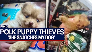 Florida thieves snatch dog from teen in Winter Haven