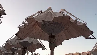 Masjid Nabawi Umbrella Opening in Madinah Munawarah