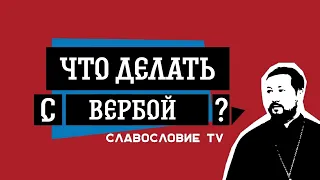 Артемий Прозоров - Что делать с вербой?