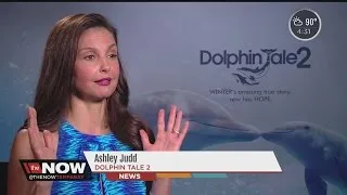 Dolphin Tale 2 premiere