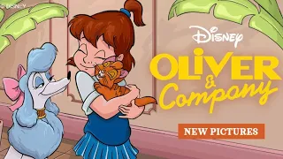 Happy Color App | Disney Oliver and Company Compilation | Color By Numbers | Animated