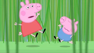 Świnka Peppa | Długa trawa | Bajki Po Polsku | Peppa po Polsku