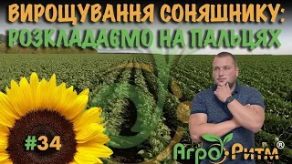 ЗАХИСТ СОНЯШНИКУ ААЛЬДАЗОР/БОМОНД: ЩО З ЧИМ ЗМІШУЄМО?ЩО КОЛИ ВНОСИМО?