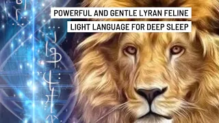 Lion’s Gate Light 888 Lyran Light Language  Meditation Sleep Lenguaje Luz  432h 1Hr Portal del León