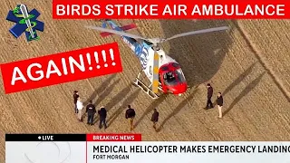 Birds Bring Down Another Medical Helicopter in Colorado!!!