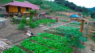 Unexpected big storm, Sang Vy builds a garden to grow clean food, harvests and cooks with her family