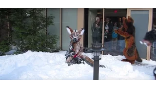 Telephone calling birds and playing in the snow @ANE2016