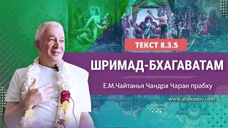 17/12/2022 «Шримад-Бхагаватам» 8.3.5. Е.М. Чайтанья Чандра Чаран прабху. Пос. Кызыл-Кайрат