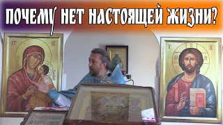 Почему нет настоящей жизни? Священник Игорь Сильченков