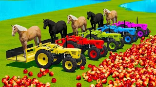 TRANSPORT HORSES & PEACHES WITH DEUTZ FAHR & JCB TRACTORS -Farming Simulator 22