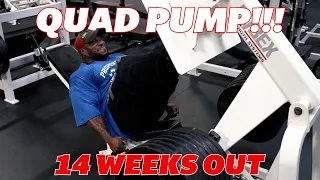 QUAD PUMP!!! 14 weeks out from Olympia 2023