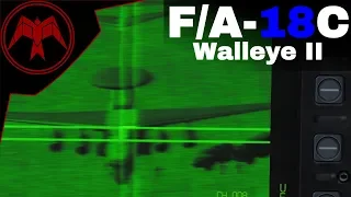 DCS F/A-18c Hornet AGM-62 Walleye II Tutorial