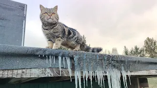 Первомайские праздники 2024, дни труда - можно делать все что не хочешь 🤪✅.