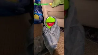 Kermit sad cause ms piggy divorce him