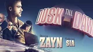 ZAYN - Dusk Till Dawn ft. Sia (Studio Acapella)