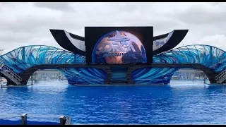 (FIRST) Orca Encounter at SeaWorld Orlando