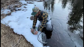 Kennedy Meadows Fly Fishing