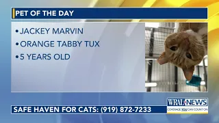 Pet of the Day for March 25, 2024