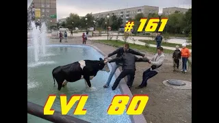 ИДИОТЫ 80 УРОВНЯ #161. Неудачные падения (и смешно и больно)