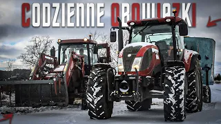 🐄 Codzienne Obowiązki 2022 🐄 (Nowa Jakość, Drifty, Mieszanie Paszy Podgarnianie) 🔥 McCormick, Case 🔥