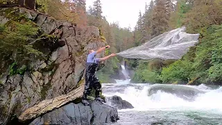 We caught 100 salmon in 2 hours | Cast net fishing for sockeye