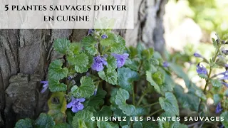 5 plantes sauvages d'hiver en cuisine