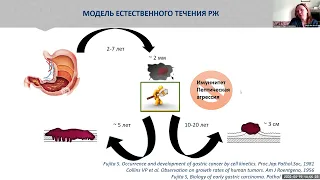 Предраковые заболевания желудка. Парфенчикова Е.В.