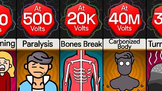 Comparison: You At Different Voltages