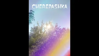 CHEREPASHKA (Nueki, Tolchonov,Shtopin)