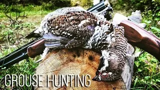 NH: Grouse hunting in Finland | 2016