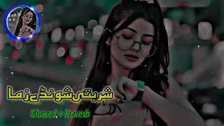 Sharbati shonde zama pashto song || slowed reverb || Sr Songs