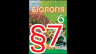 7 "Будова клітини"//6 клас Біологія// Костікова