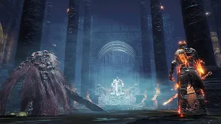 Yhorm VS Gael and Soul of Cinder