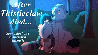 Spottedleaf tells Whitestorm about Thistleclaw | AU/head-canon animatic