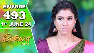 Iniya Serial | Episode 493 | 1st June 24 | Alya Manasa | Rishi | Saregama TV Shows Tamil