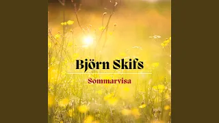 Sommarvisa