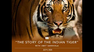 The Story of the Indian Tiger with Amit Sankhala