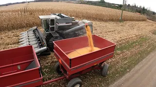 Efficient Allis-Chalmers - Gleaner Farm Operation - Deutz-Allis L3 - AC 7060 - Corn Harvest 2020 5K