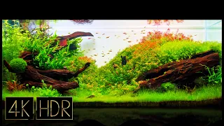 Relaxation | WAVE | Aquascape • Fixed 3hours 4K HDR 60fps • Water sound