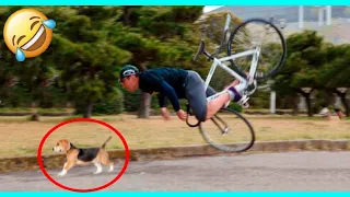 Best Funny Videos 🤣 - People Being Idiots / 🤣 Try Not To Laugh - By JOJO TV 🏖 #31