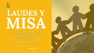 EN VIVO: 08:00 a. m LAUDES Y MISA VII JUEVES DE PASCUA 16 de mayo de 2024