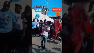 bloods vs crips