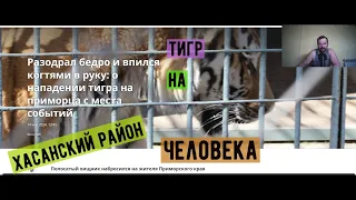 Нападение тигра на человека в Приморье.