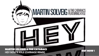 Martin Solveig & The Cataracs - Hey Now ft Kyle (Carnage Remix)