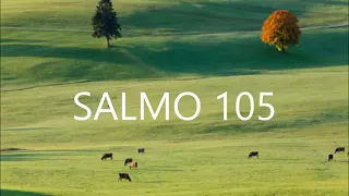 Salmos 101 al 150 | Narración Luis Morales Orellana