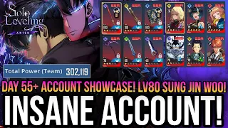 Solo Leveling Arise - Insane Whale Account Showcase! *Lv80 With 300k Team Power*